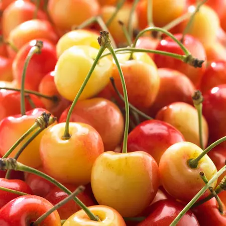 CERISES BIGAREAU NAPOLEON CAISSETTE (BLANCHES-ROSEES / RAINIER /BEL / LOT 262506 / CAISSE DE 2 KG / QUALITE +++)