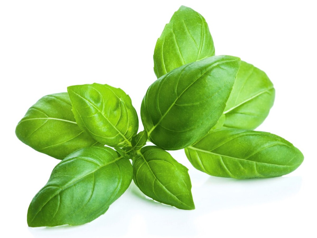 HERBE BASILIC 200 GR