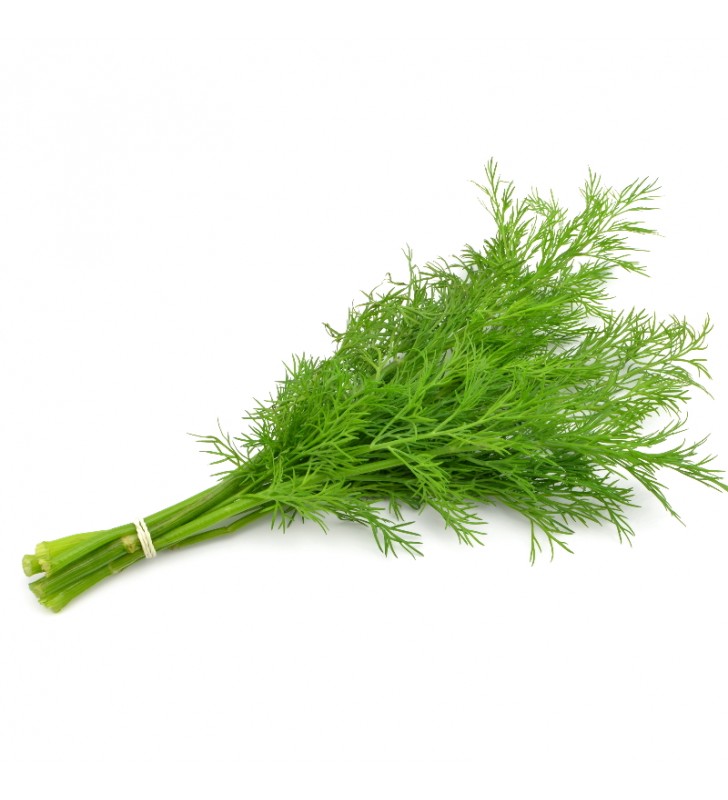 HERBE ANETH 200 GR