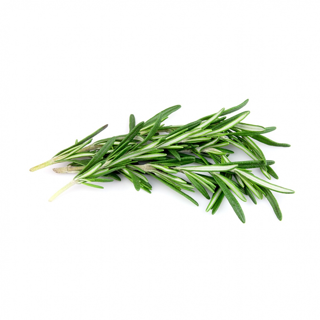 HERBE ROMARIN 200 GR