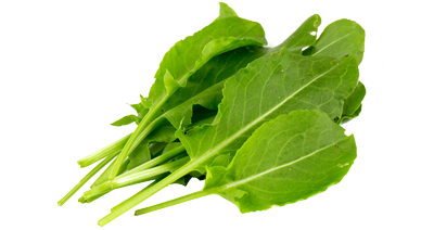 HERBE OSEILLE 200 GR