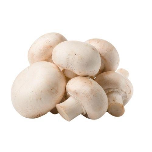 CHAMPIGNONS GROS VRAC KG (BEL / LOT 261604 / CAISSE DE 2 KG)