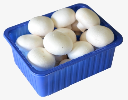 CHAMPIGNONS BLANCS RAVIER (BEL / LOT 262304 / CAISSE DE 4 RAVIERS DE +- 500 GR)