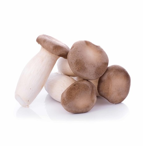 CHAMPIGNONS ERYNGI KG (CN / LOT 260110 / CAISSE DE 4 KG)