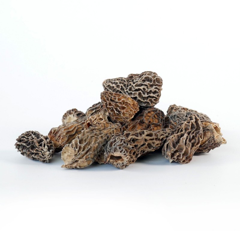 CHAMPIGNONS MORILLES SECHEES POT (LOT 262602)