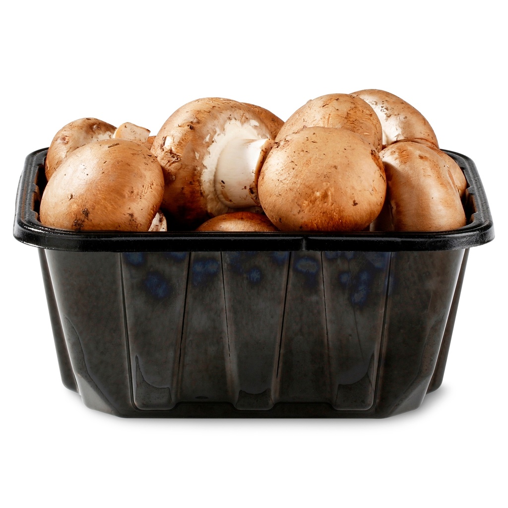 CHAMPIGNONS PARIS BRUNS RAVIER (BEL / LOT 261008 / CAISSE DE 6X250 GR)