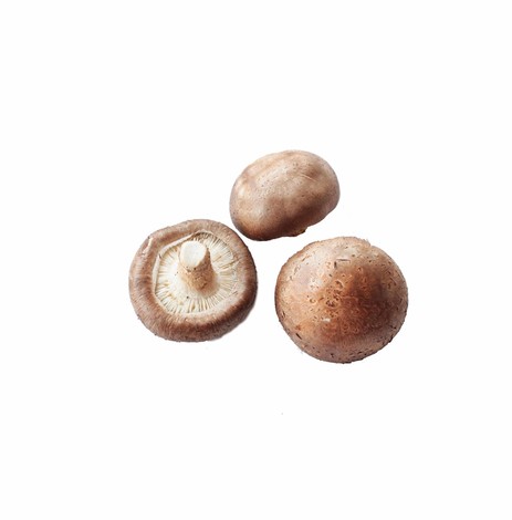 CHAMPIGNONS SHITAKE KG (ESP/ LOT 262409 / CAISSE DE +/- 2 KG)