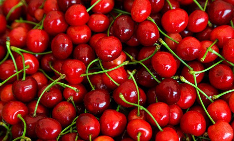 CERISES KG ( KORDIA 5AEEX / BEL / LOT 040580 / CAISSE DE 5 KG)