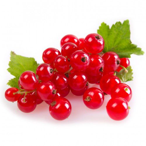 GROSEILLES ROUGES RAVIER (CEBON / ESP / LOT 2303024290 / CAISSE DE 12 RAVIERS DE 125 GR)