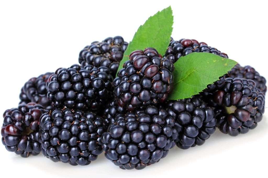 MURES RAVIER ( BERRY WISH PORT / LOT 1203012325 / CAISSE DE 12 RAVIERS DE 125 GR)