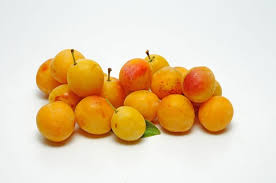 MIRABELLES KG (ALMERAS / FRANCE / LOT 260608 / CAISSE DE 5 KG)