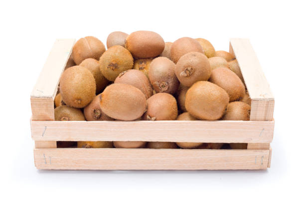 KIWIS JAUNES CAISSE (ZESPRI / NZL / LOT 260408 / CAISSE DE 48 PIECES)