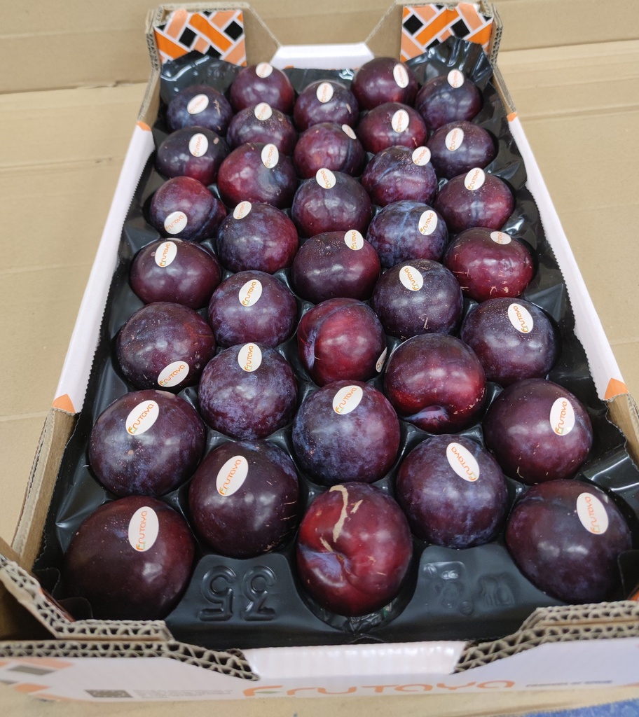 PRUNES ROUGES CAISSE (RIVES / FR / LOT 260608 / CAISSE DE 5 KG)