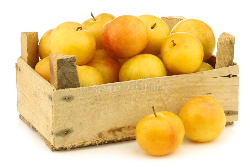 PRUNES JAUNES CAISSE ( / FR / LOT 261009 / CAISSE DE 4 KG)