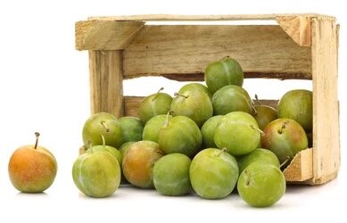 FRUITS DE SAISON PIECE