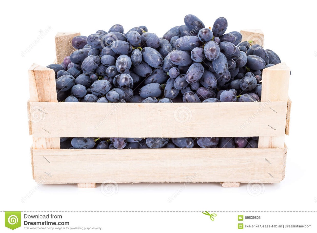 RAISINS NOIRS KG (PRIMA MEFFRE / LAVALLEE / FRANCE / LOT 261709 / CAISSE DE +-8.5 KG)
