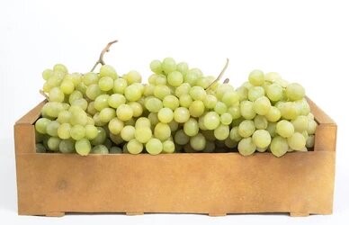 RAISINS BLANCS CAISSE (LAVINIA / IT / LOT 260608 / CAISSE DE 5 KG)