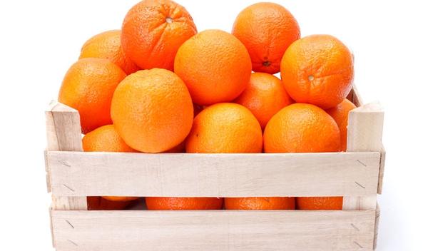ORANGES JUS CAISSE (AGREEN / EGY / LOT 260608 / CAISSE DE 15 KG-CAL 88)