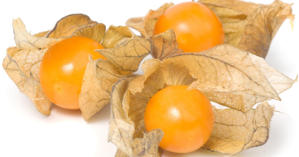 PHYSALIS RAVIER (SUANA-SANTANA / COL / LOT 2613040000 - 2616040000 / CAISSE DE 12 RAVIERS DE 100 GR)