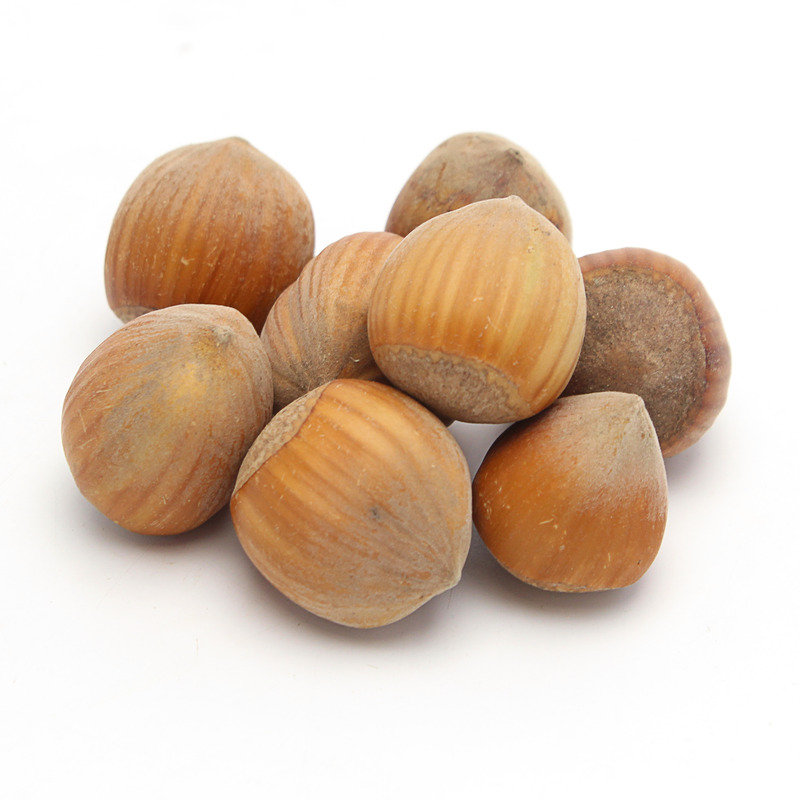 NOISETTES FRAICHES KG (BEL / LOT 260309 / CAISSE DE 4 KG)