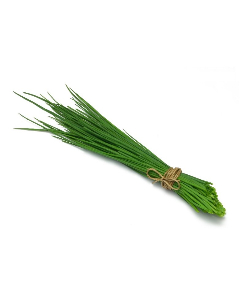 HERBE CIBOULETTE BOTTE