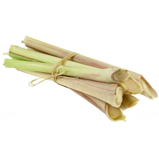HERBE CITRONNELLE BATON BOTTE DE 500 GR