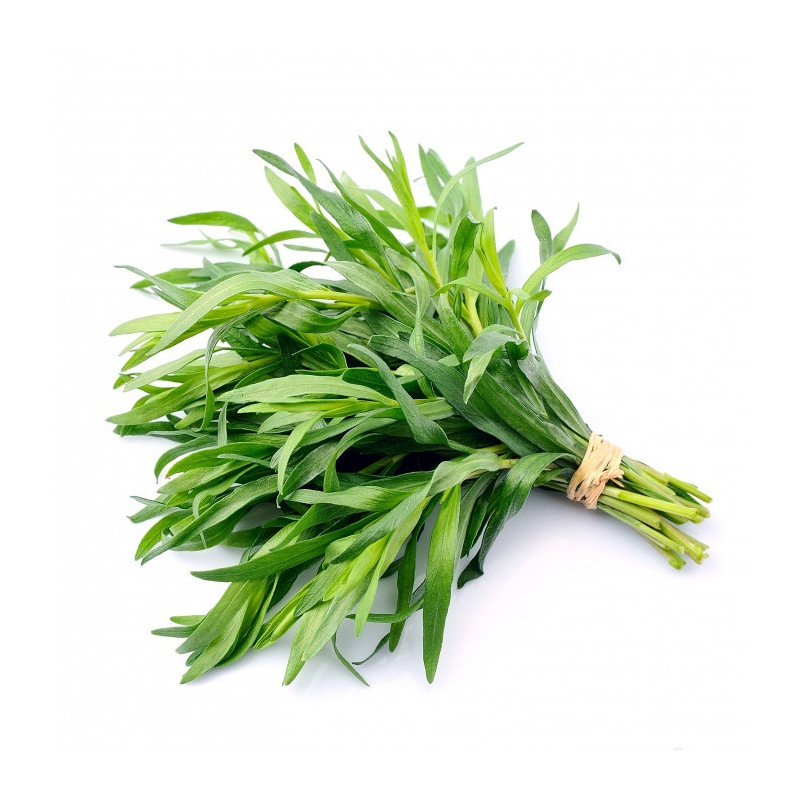 HERBE ESTRAGON RAVIER 40 GR