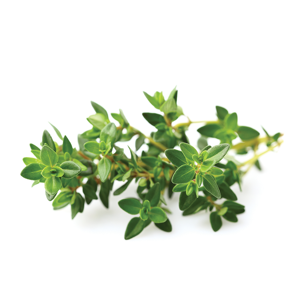 HERBE THYM RAVIER 30 GR 