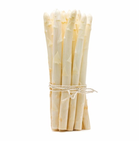 ASPERGES BLANCHES BOTTE (PEROU / LOT 261607 / CAISSE DE 10 BOTTES DE 500GR)