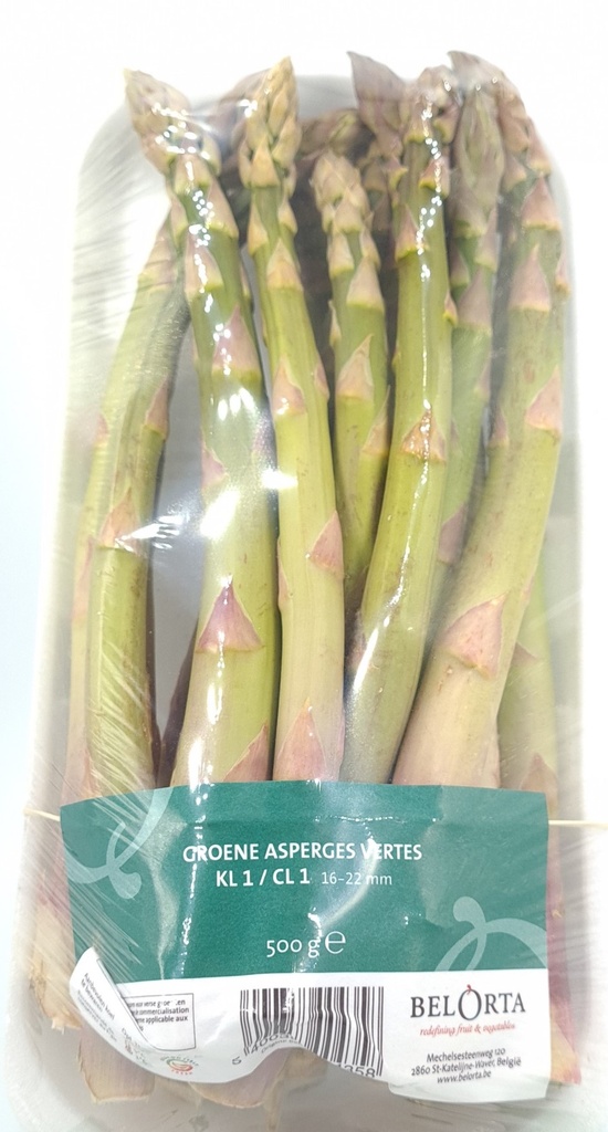 ASPERGES VERTES KG ( BEL / LOT 240205 / CAISSES DE )