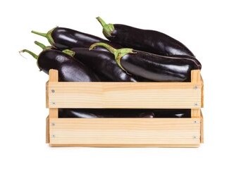 AUBERGINES CAISSE (BEL / LOT 261404 / CAISSE DE 5 KG - CAL 1)