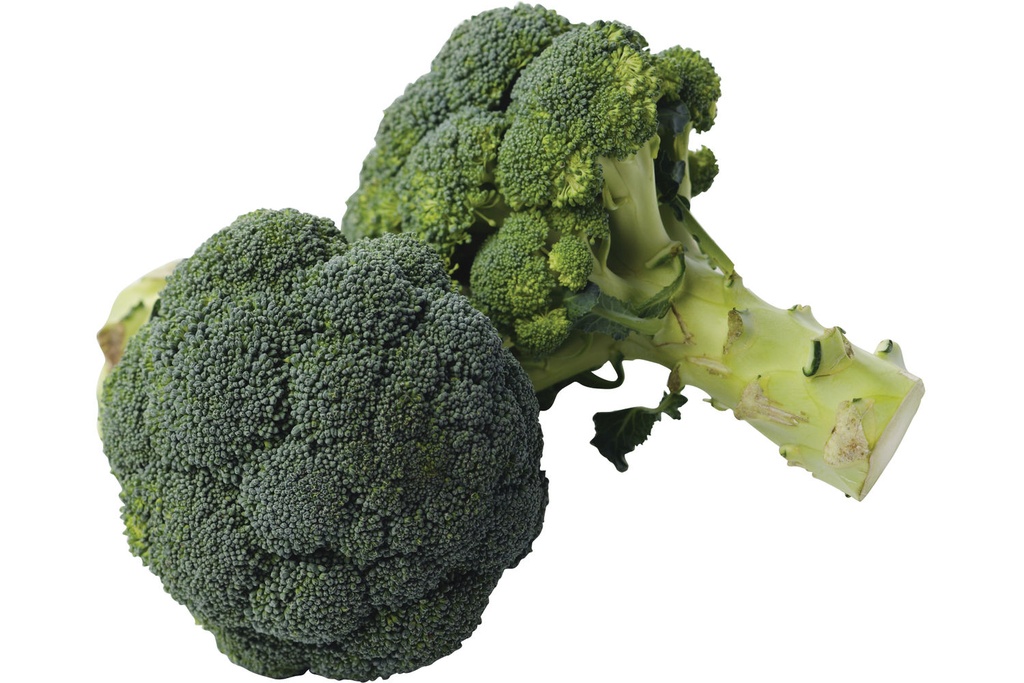 BROCOLI BOUQUET DE 500 GR (ESP / LOT 262603)