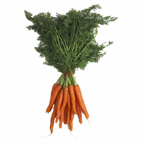 CAROTTE FINES BOTTE PIECE (IT / LOT 261304 / CAISSE DE 12 BOTTES)