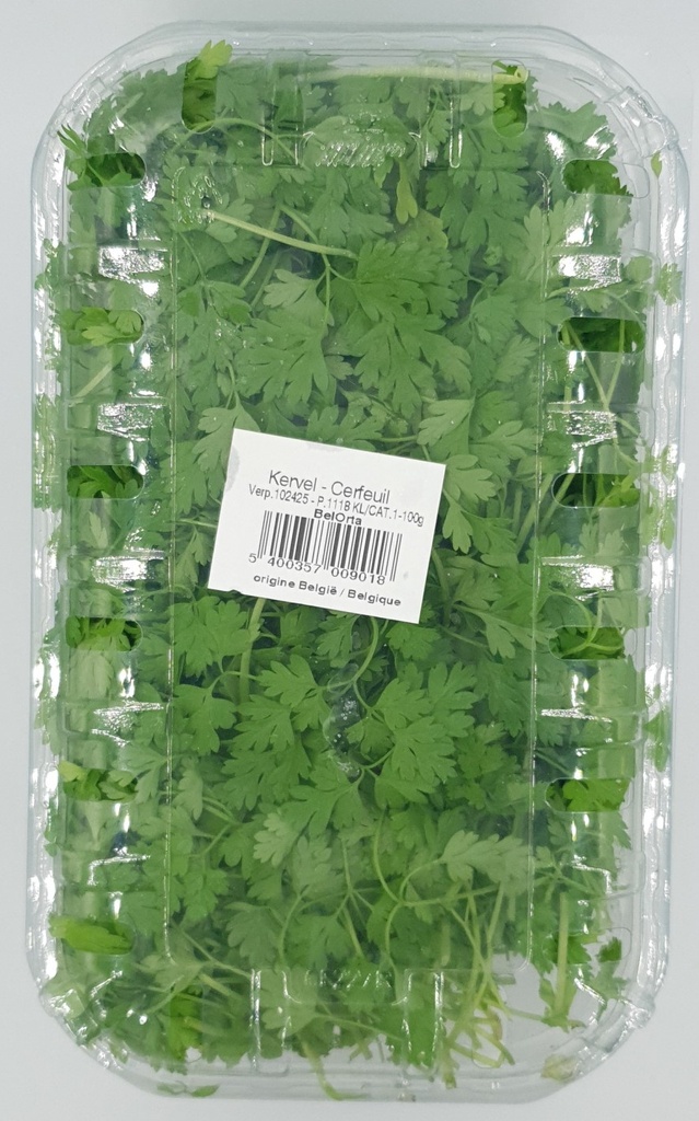 CERFEUIL RAVIER (BEL / LOT 262104 / CAISSE DE 4 RAVIERS DE 100 GR)