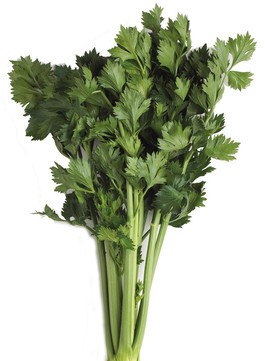 CELERI FRANCAIS VERTS PIECE (ITA / LOT 263003 / CAISSE DE 12 PIECES)