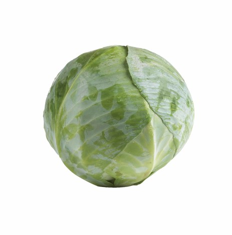 CHOU BLANC PIECE (BEL / LOT 263103 / CAISSE DE 6 PIECES)