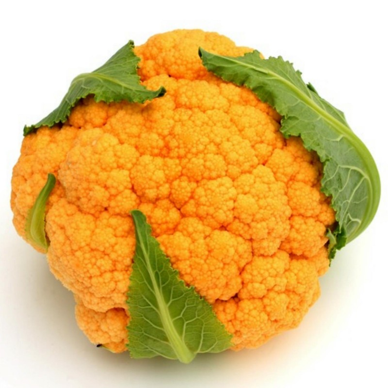 CHOU FLEUR ORANGE PIECE (BEL / LOT 262408 / CAISSE DE 6 PIECES)