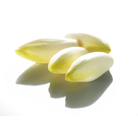 CHICONS KG (BEL / LOT 261003)