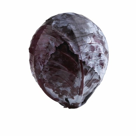 CHOU ROUGE PIECE (BEL / LOT 262603 / CAISSE DE 6 PIECES)