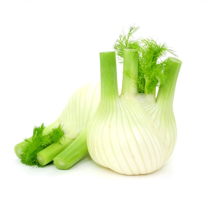 FENOUIL PIECE (ITA / LOT 261203)