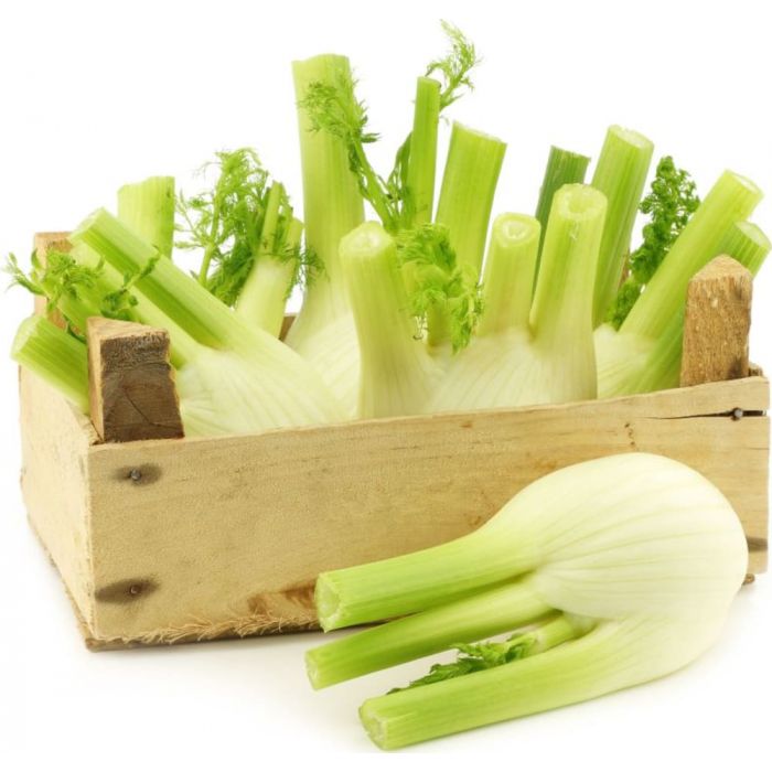 FENOUILS CAISSE (ITALIE / LOT 260204 / CAISSE DE 10 PIECES)