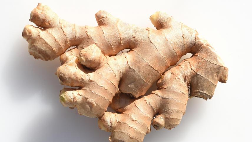 GINGEMBRE AU KG (PER-BR / LOT 260203 -262602 / CAISSE DE 5-13.6 KG)