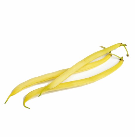 HARICOTS BEURRE KG (BEL / LOT 261604 / CAISSE DE 4 KG)