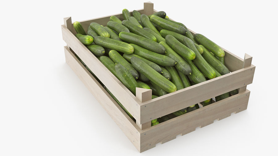 CONCOMBRES CAISSE (BEL / LOT 262403 / CAISSE DE 12 PIECES)