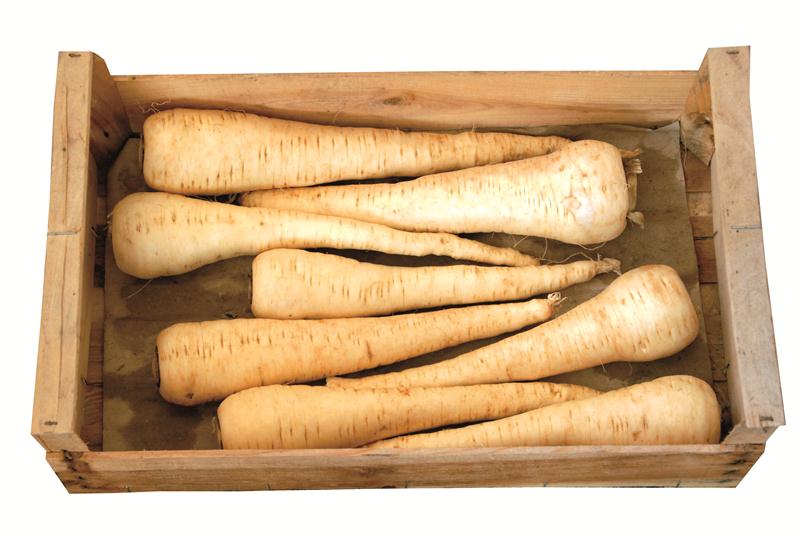 PANAIS CAISSE (BEL / LOT 261203 / CAISSE DE +- 4.5 KG)