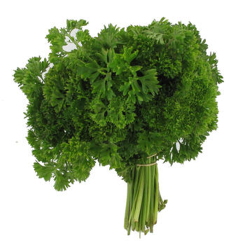 PERSIL FRISE BOTTE (BEL / LOT 261603 / CAISSE DE 10 BOTTES)