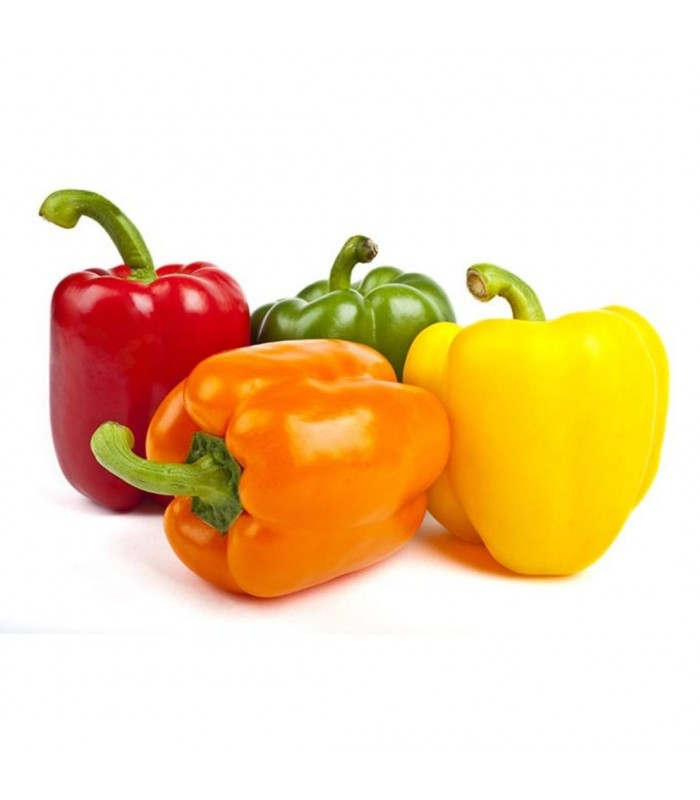 POIVRONS MIXTES KG (ESP / LOT 260203) (JAUNE-VERT-ROUGE)