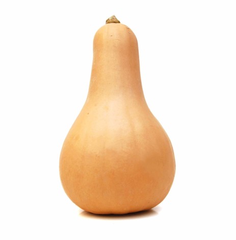 POTIRONS BOUTEILLE PIECE (BEL / 262104)