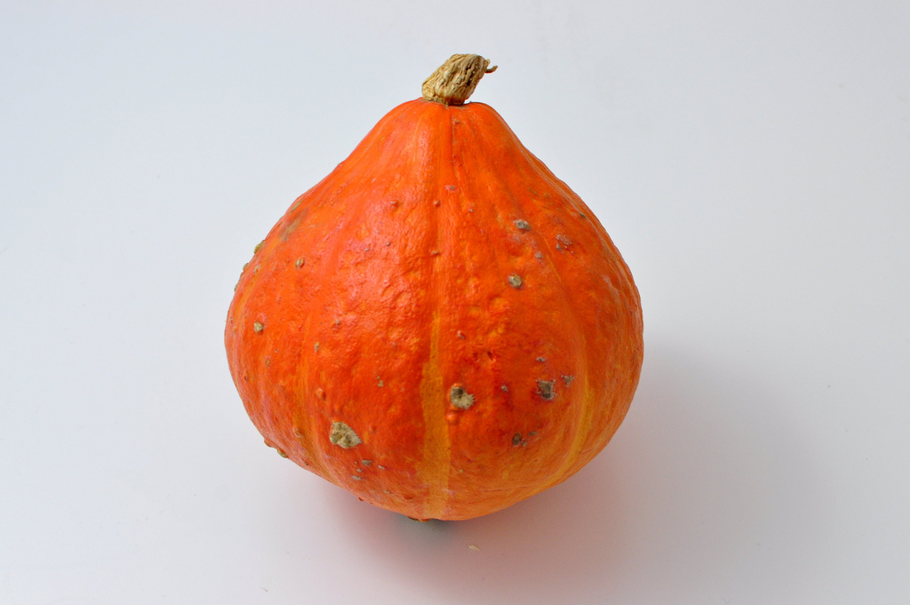 POTIMARRONS KG (BEL / LOT 260109 / CAISSE DE 6 PIECES-12 KG)