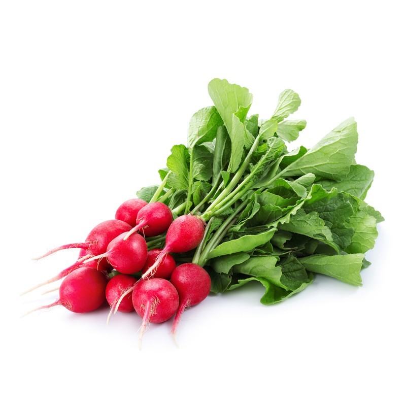 RADIS BOTTE (NL / LOT 261604 / CAISSE DE 8 BOTTES)